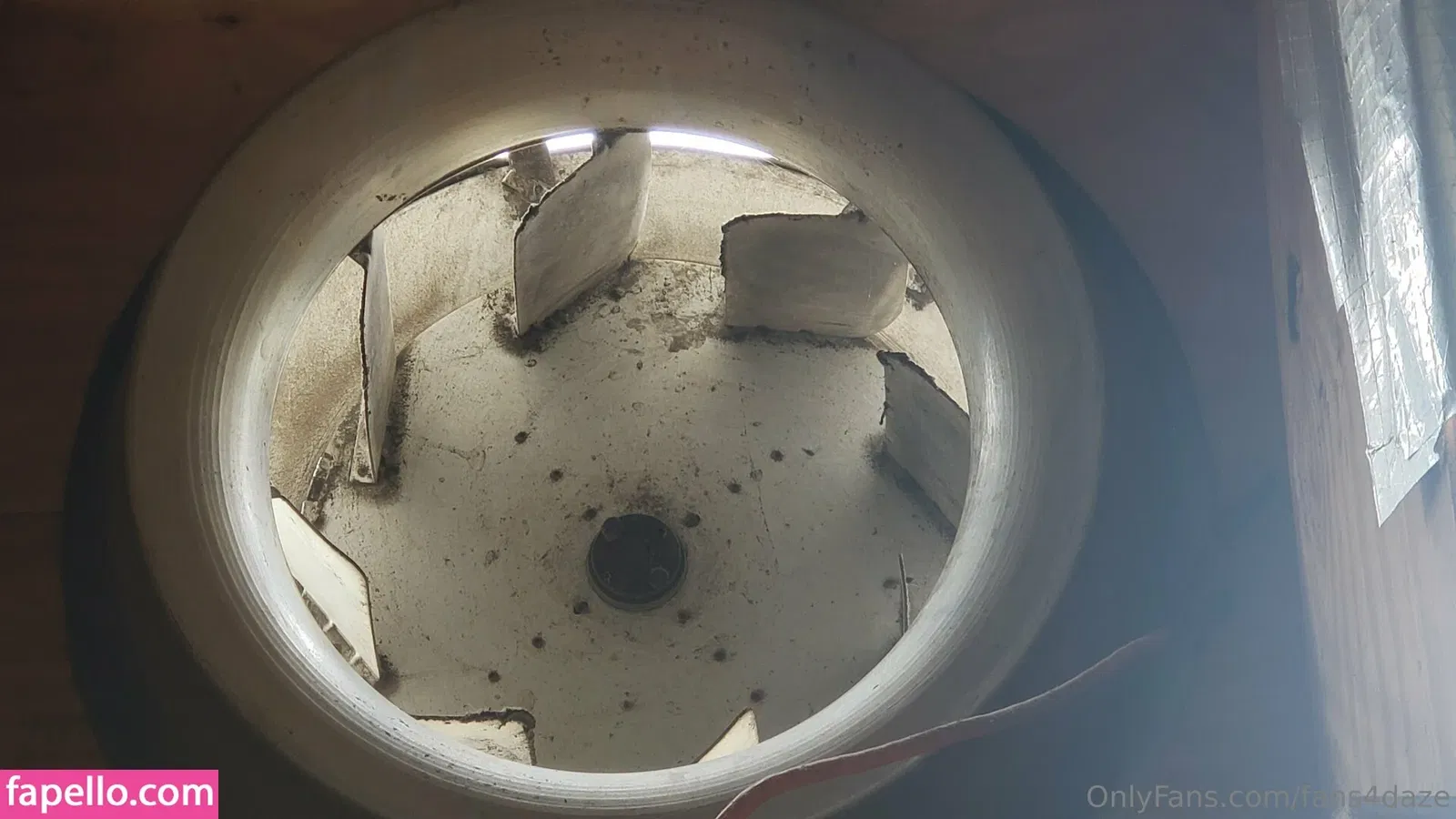 fans4daze / flowz4daze Onlyfans Photo Gallery 