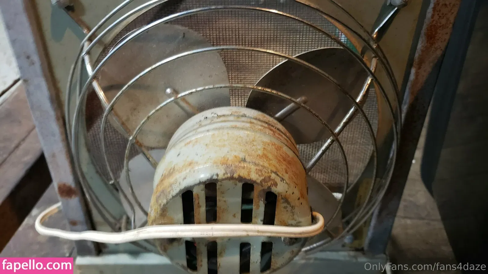 fans4daze / flowz4daze Onlyfans Photo Gallery 