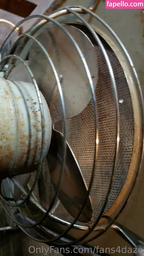 fans4daze / flowz4daze Onlyfans Photo Gallery 