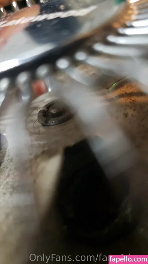 fans4daze / flowz4daze Onlyfans Photo Gallery 