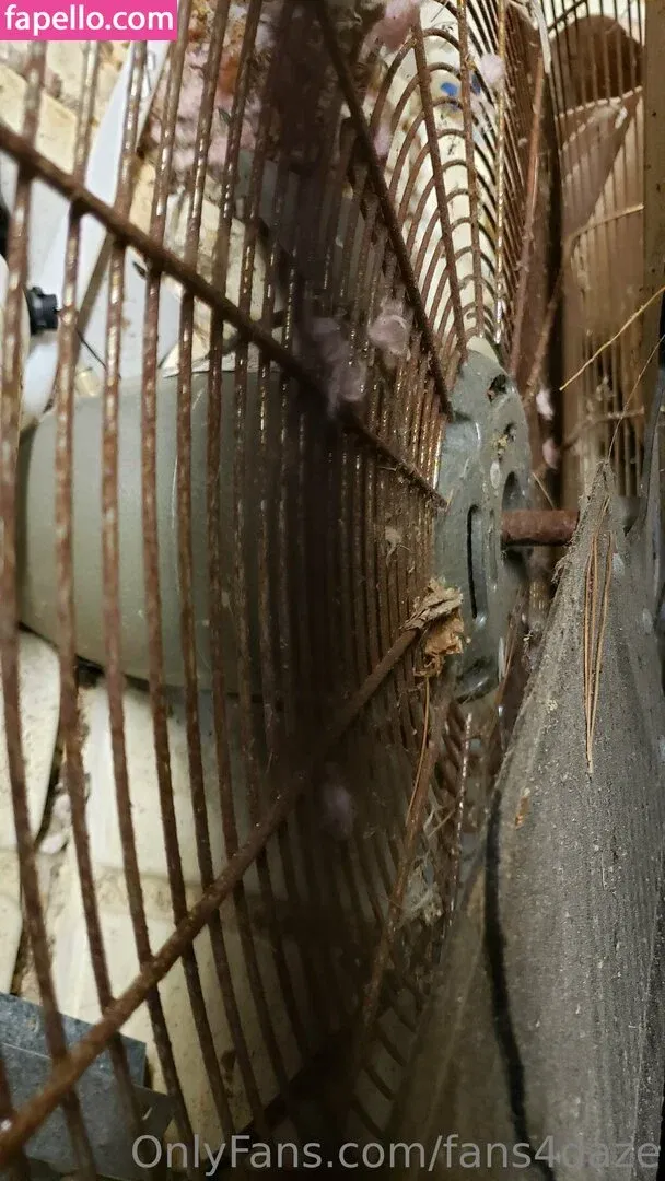 fans4daze / flowz4daze Onlyfans Photo Gallery 