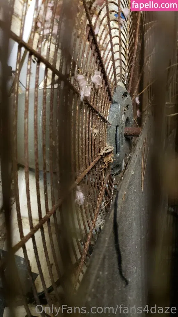 fans4daze / flowz4daze Onlyfans Photo Gallery 