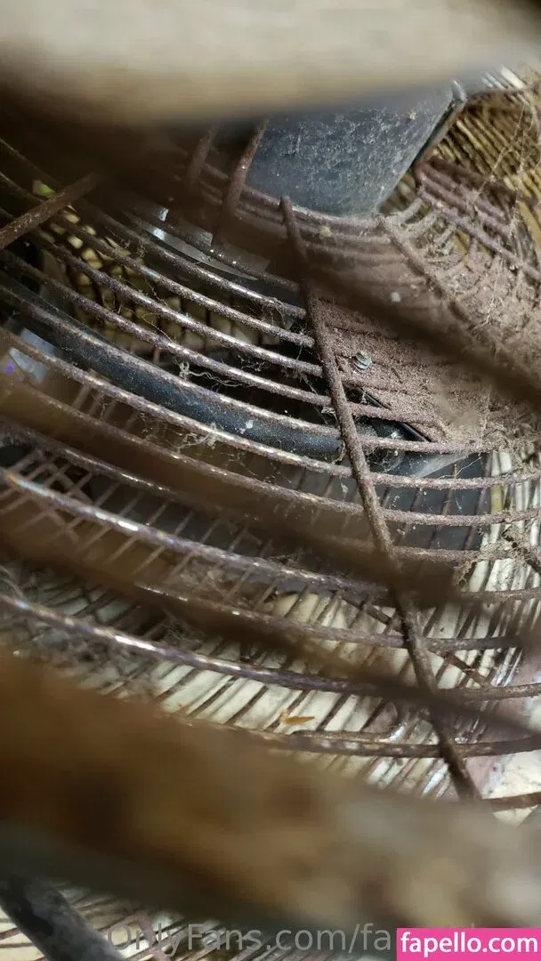 fans4daze / flowz4daze Onlyfans Photo Gallery 