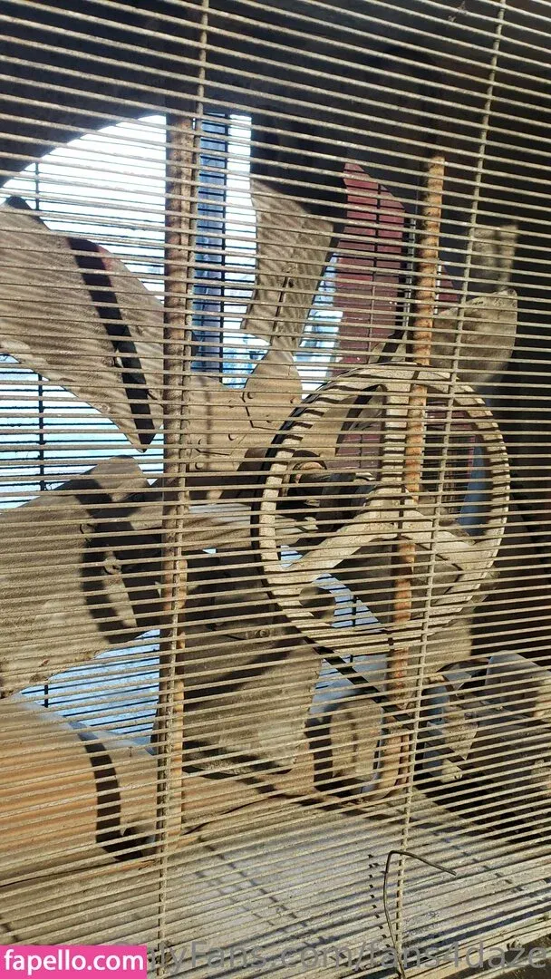 fans4daze / flowz4daze Onlyfans Photo Gallery 