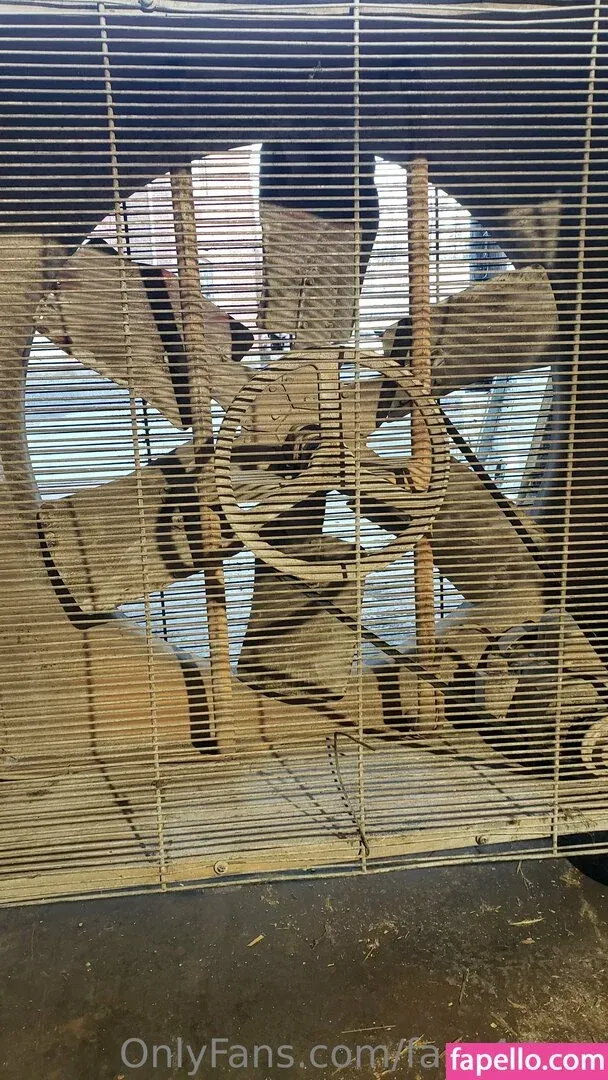 fans4daze / flowz4daze Onlyfans Photo Gallery 