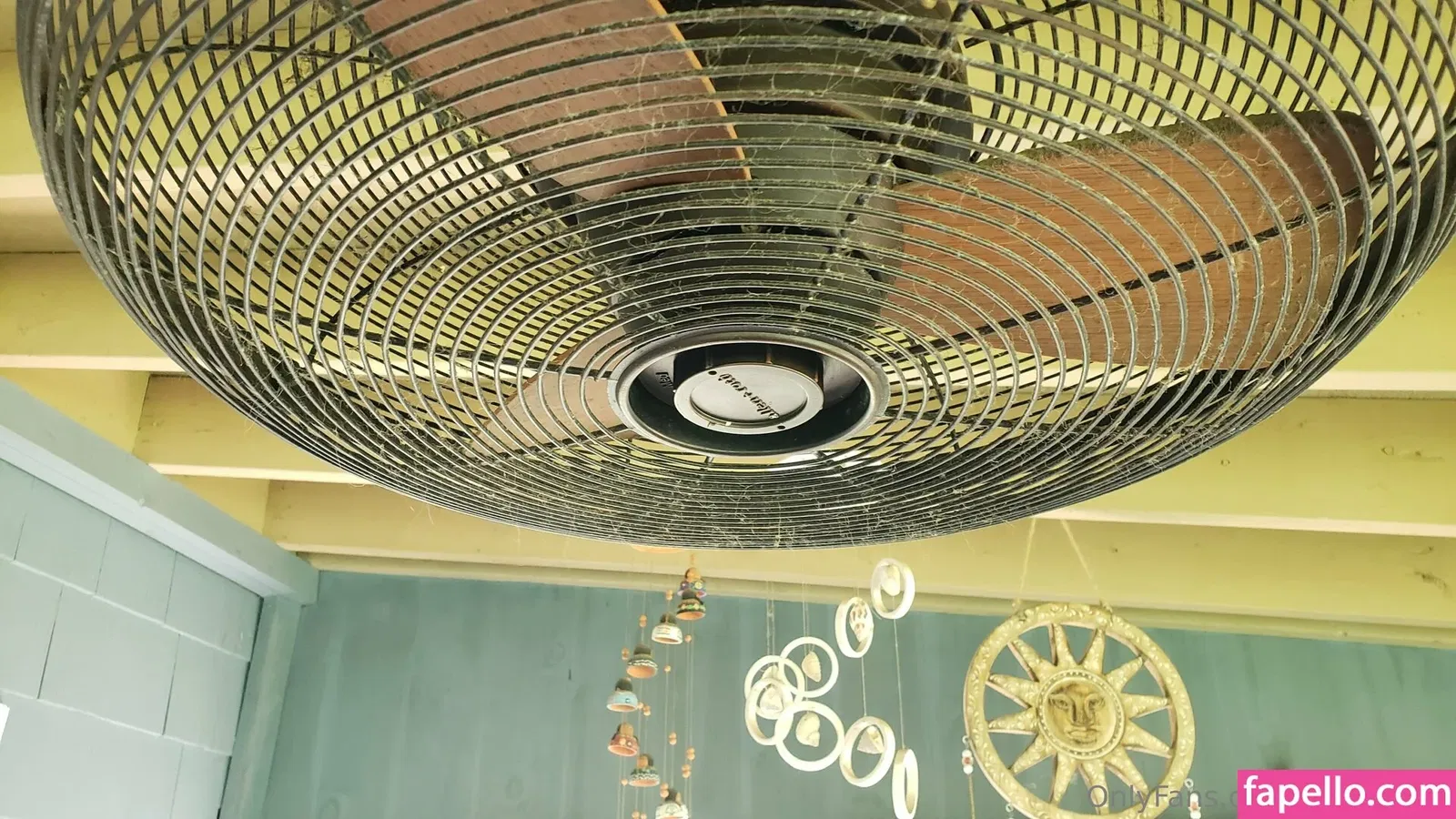 fans4daze / flowz4daze Onlyfans Photo Gallery 