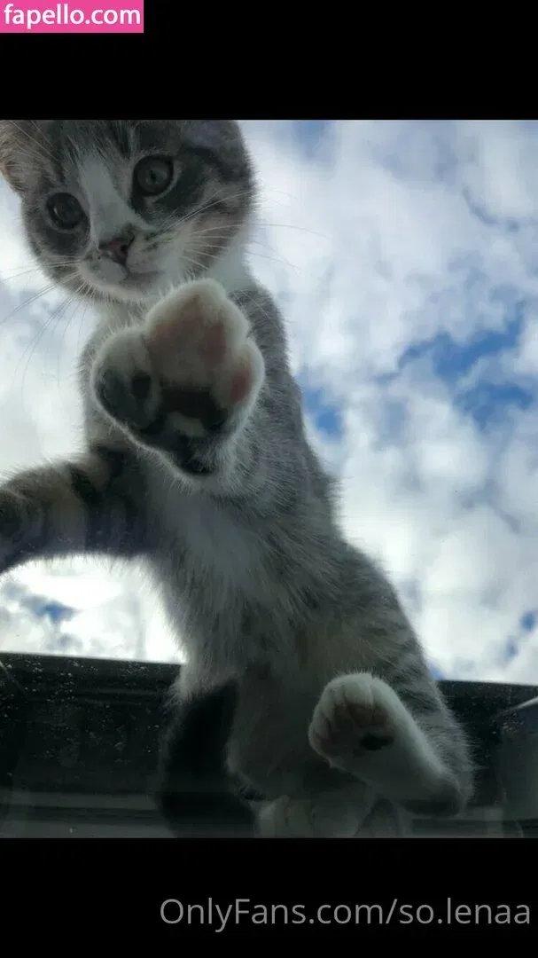 So__lena / so.lenaa Onlyfans Photo Gallery 