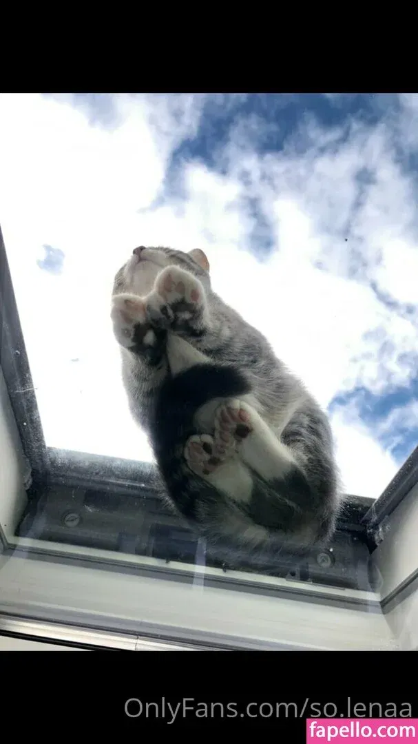 So__lena / so.lenaa Onlyfans Photo Gallery 