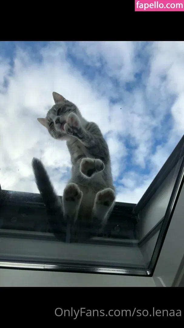 So__lena / so.lenaa Onlyfans Photo Gallery 