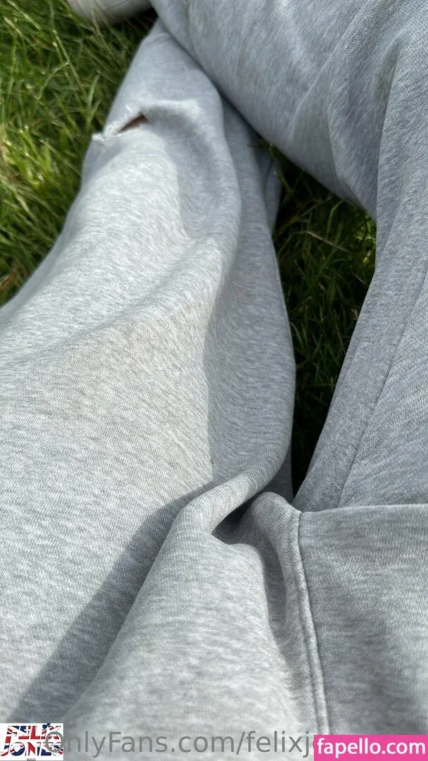 felixjonesxx / felixjonesxxx Onlyfans Photo Gallery 