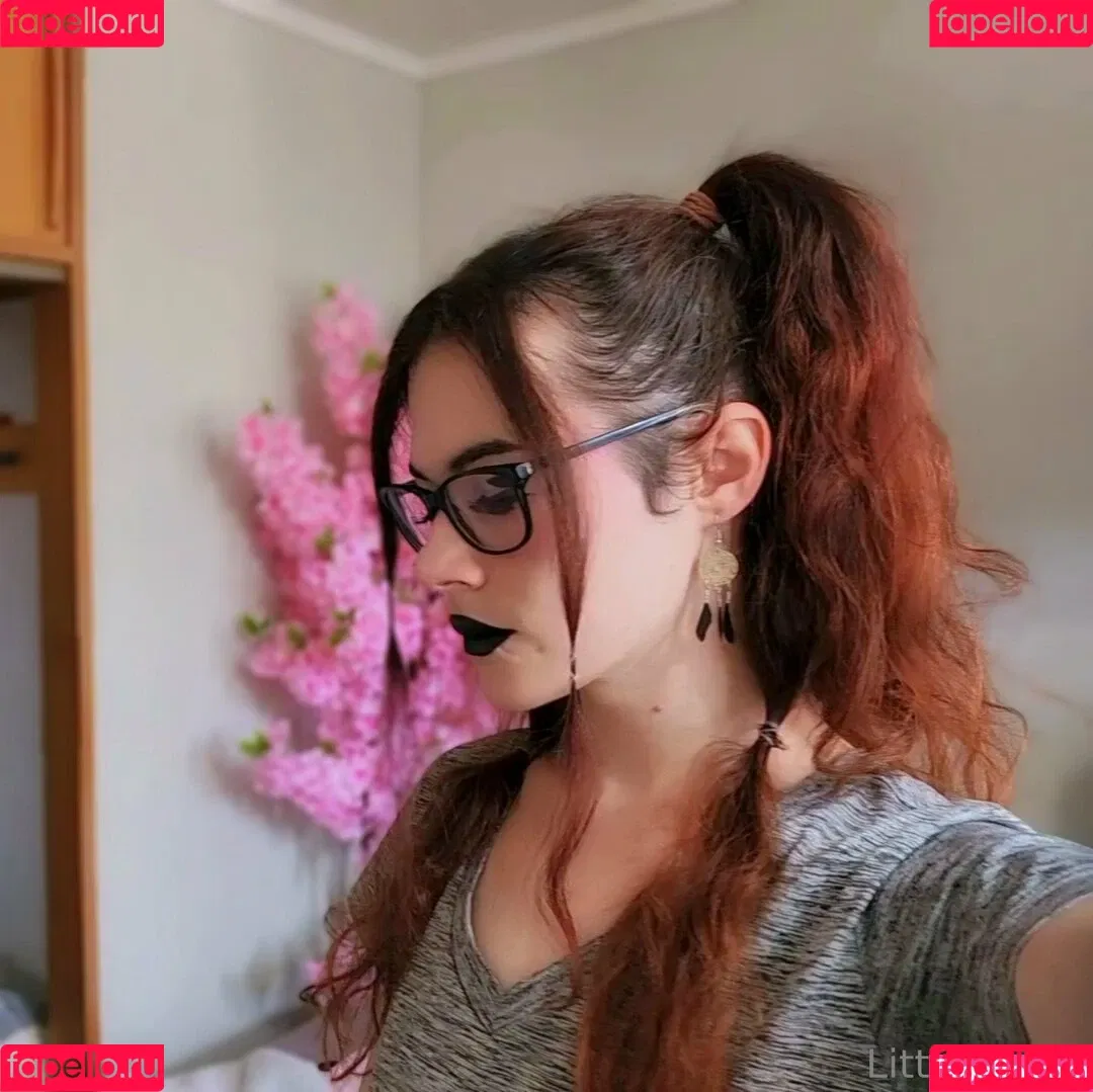 ImplyingDonut / LittleMapleBerry / littlemapleb Onlyfans Photo Gallery 