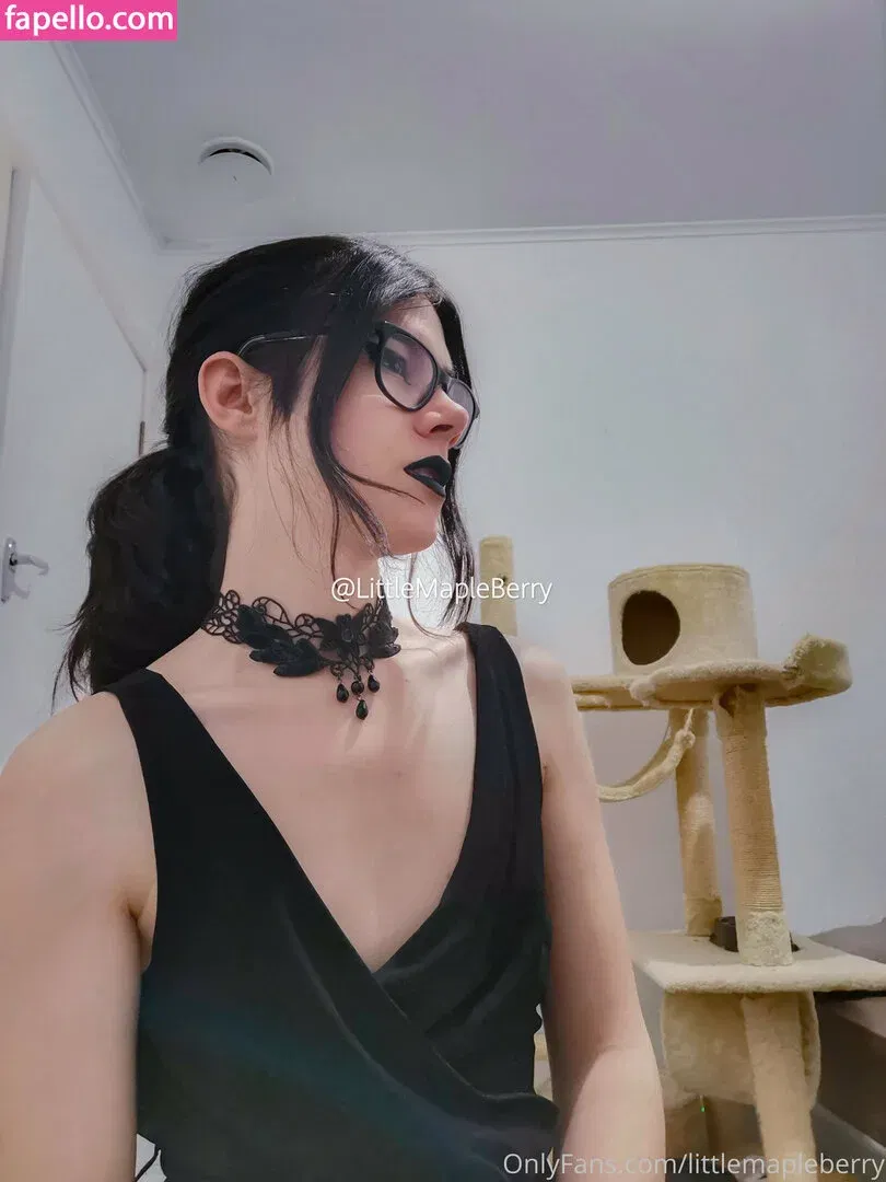 ImplyingDonut / LittleMapleBerry / littlemapleb Onlyfans Photo Gallery 