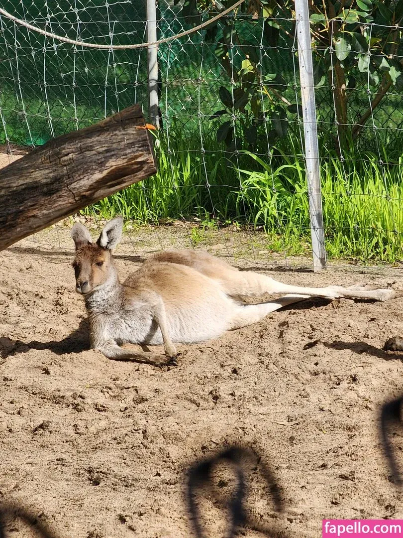 ImplyingDonut / LittleMapleBerry / littlemapleb Onlyfans Photo Gallery 