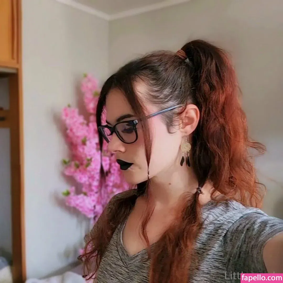 ImplyingDonut / LittleMapleBerry / littlemapleb Onlyfans Photo Gallery 