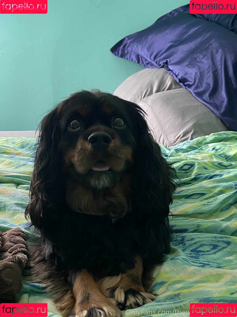 Perfect Mistress Onlyfans Photo Gallery 