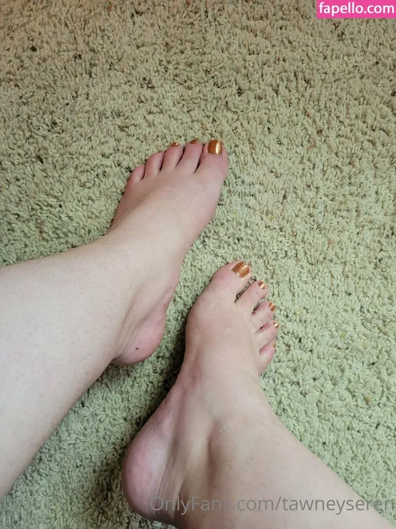 openbobsbb / tawneyseren Onlyfans Photo Gallery 