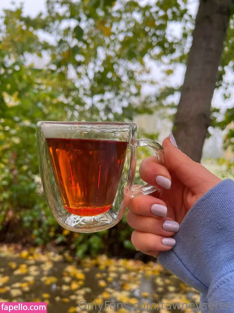 openbobsbb / tawneyseren Onlyfans Photo Gallery 