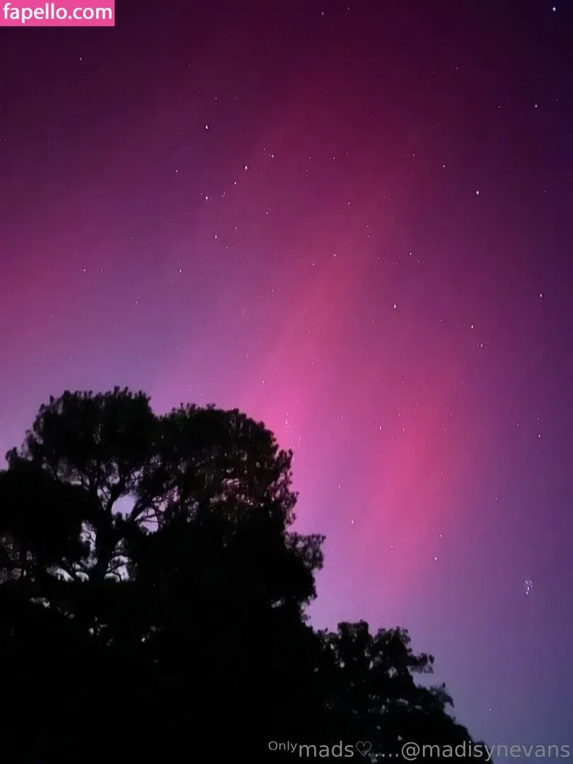 madisyn_evans_ / madisynevans Onlyfans Photo Gallery 