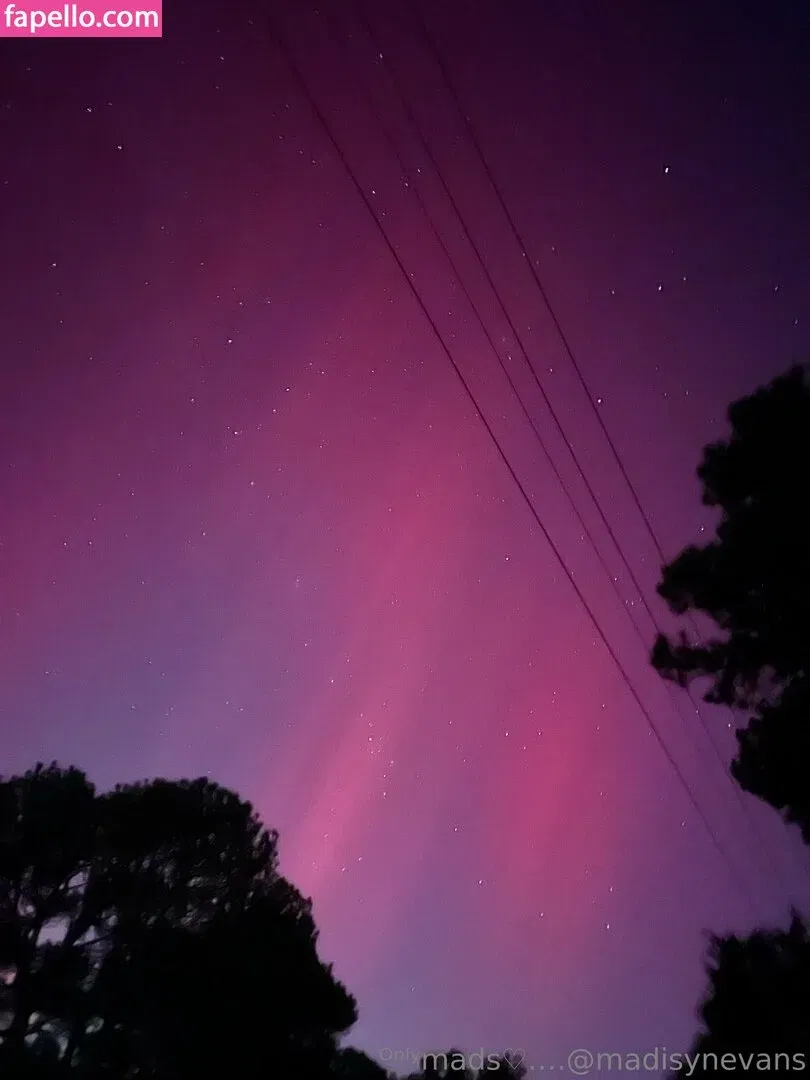 madisyn_evans_ / madisynevans Onlyfans Photo Gallery 