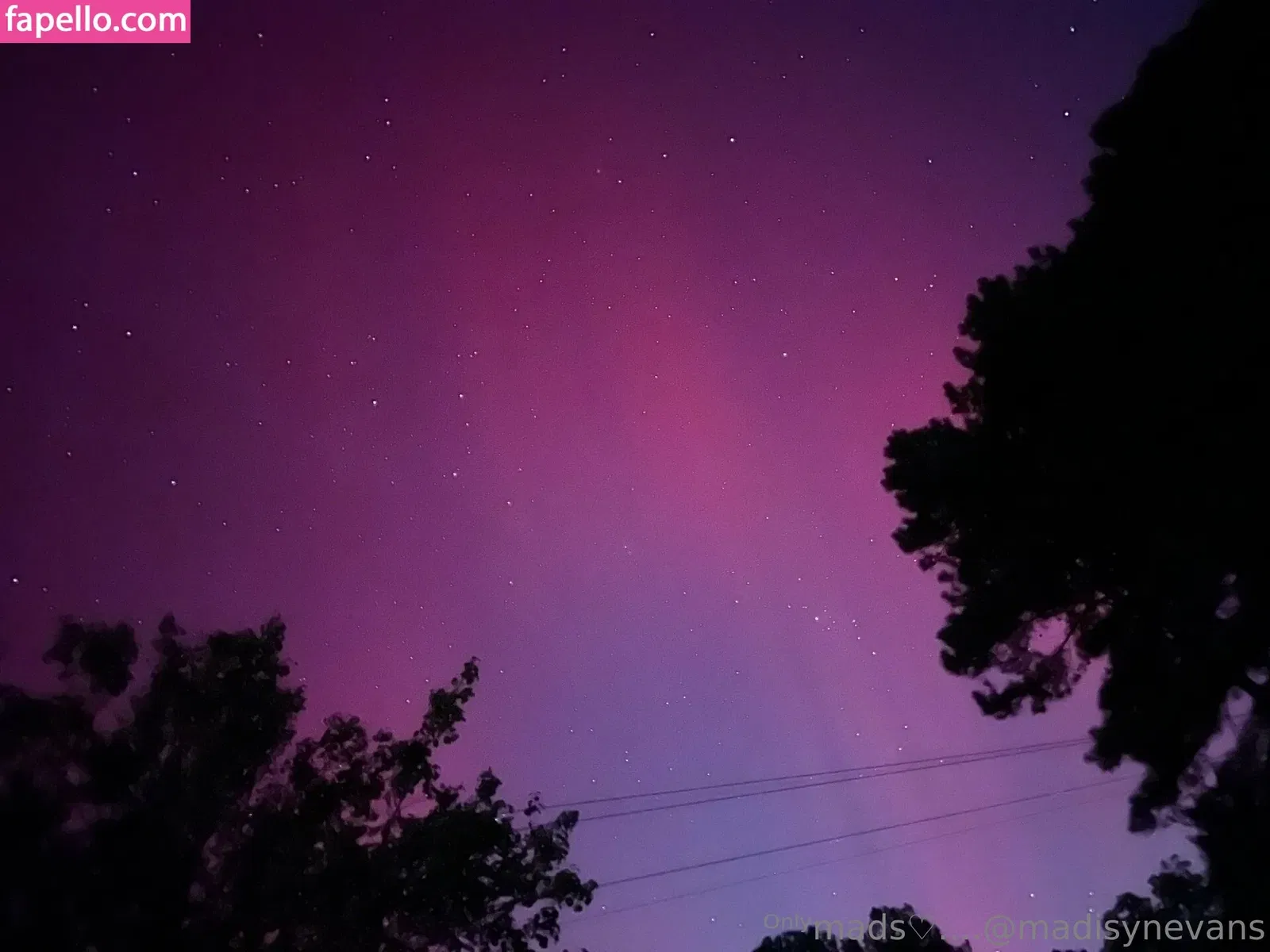 madisyn_evans_ / madisynevans Onlyfans Photo Gallery 