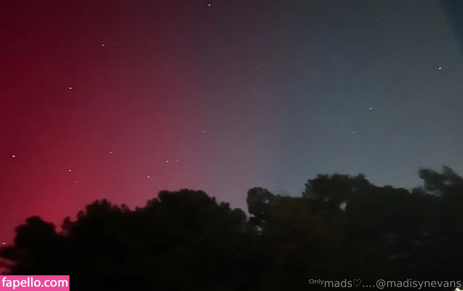 madisyn_evans_ / madisynevans Onlyfans Photo Gallery 