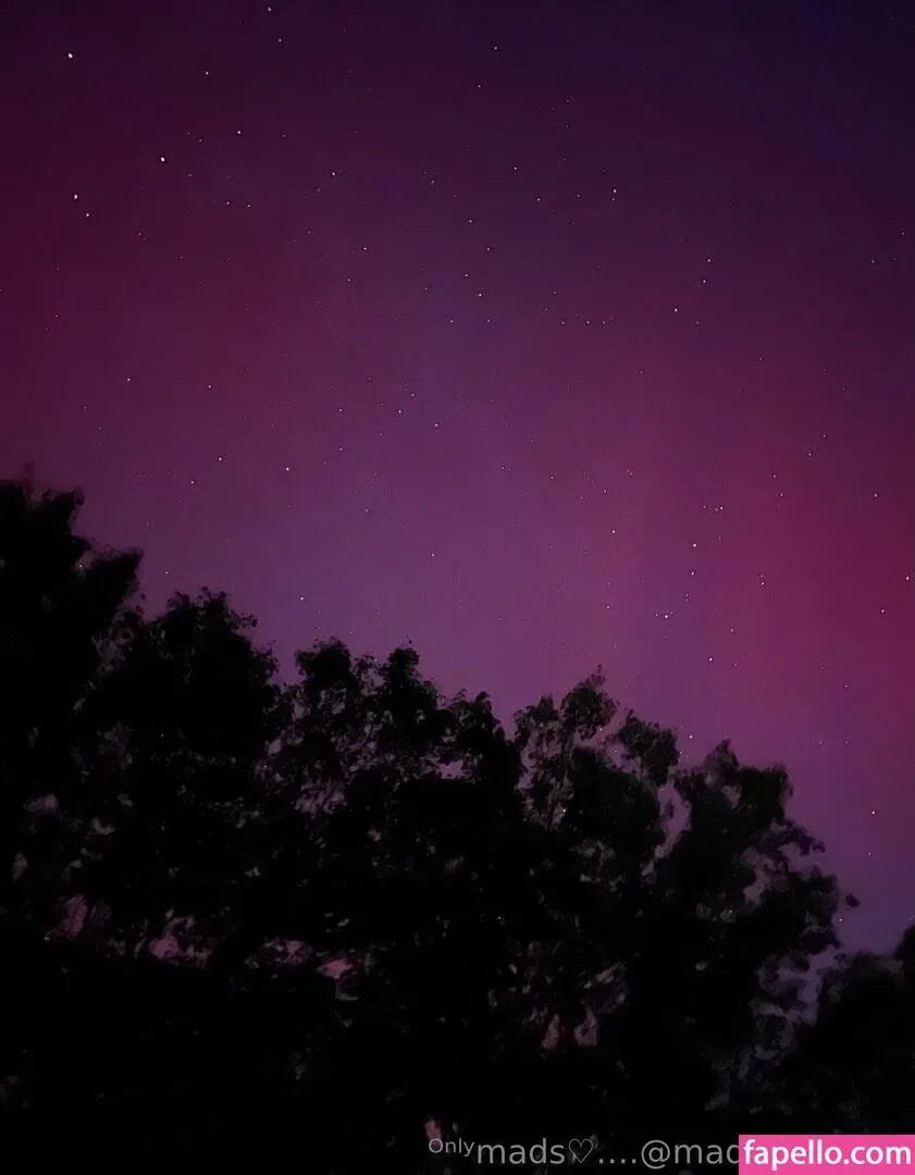 madisyn_evans_ / madisynevans Onlyfans Photo Gallery 