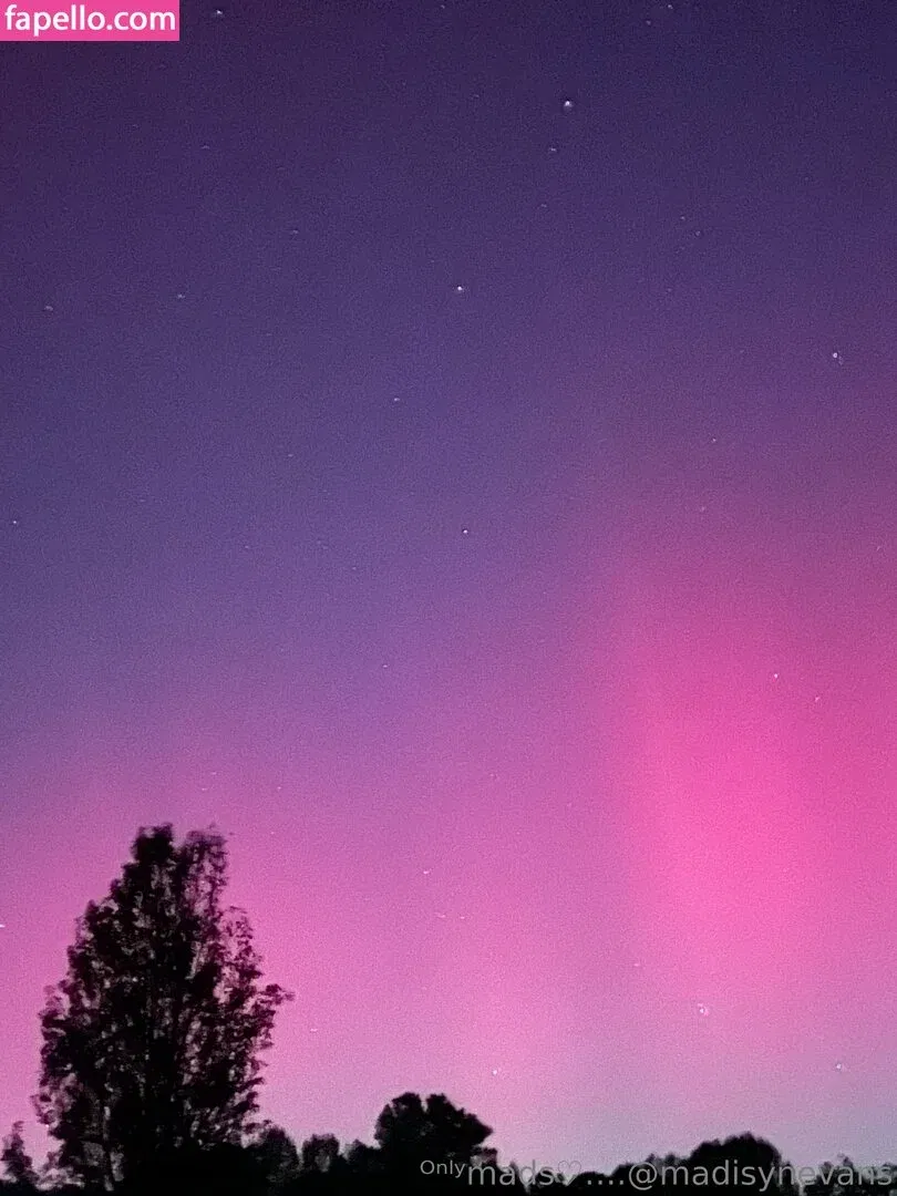 madisyn_evans_ / madisynevans Onlyfans Photo Gallery 