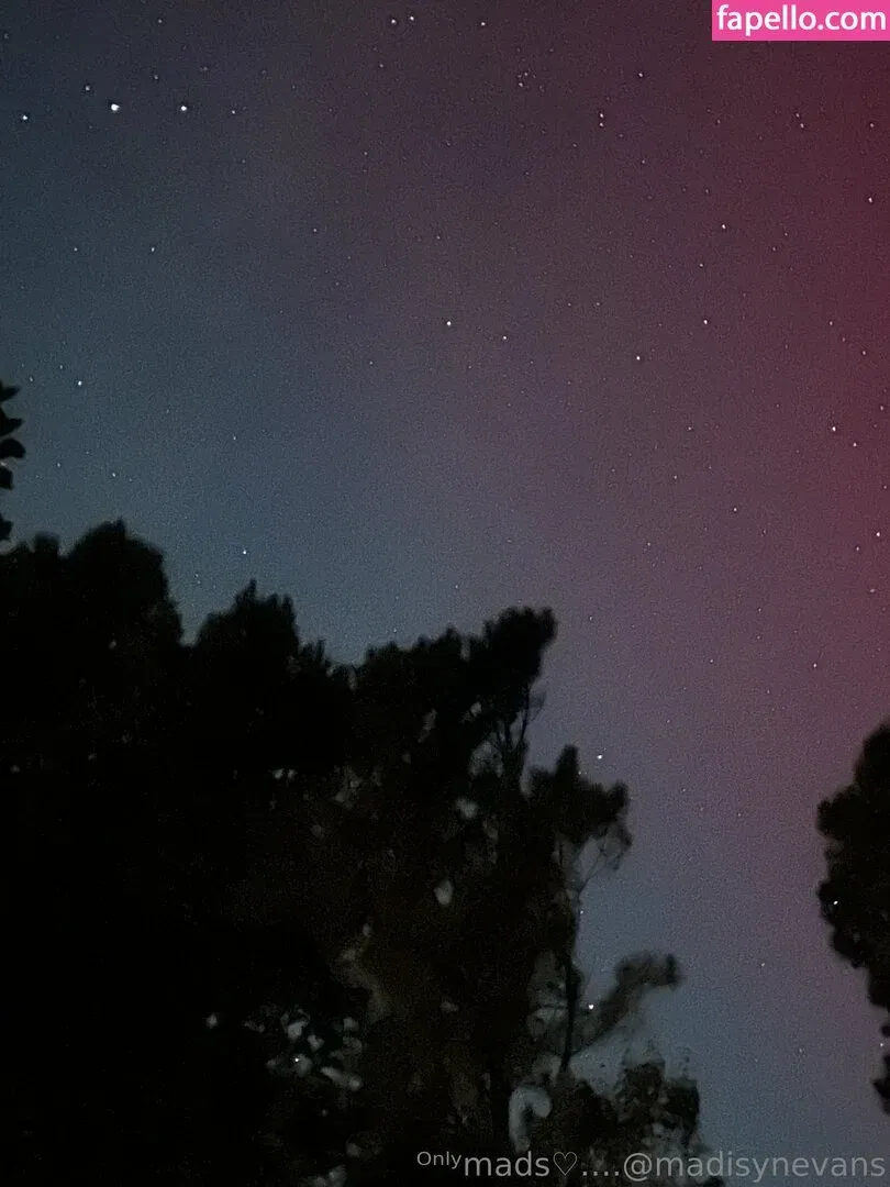 madisyn_evans_ / madisynevans Onlyfans Photo Gallery 