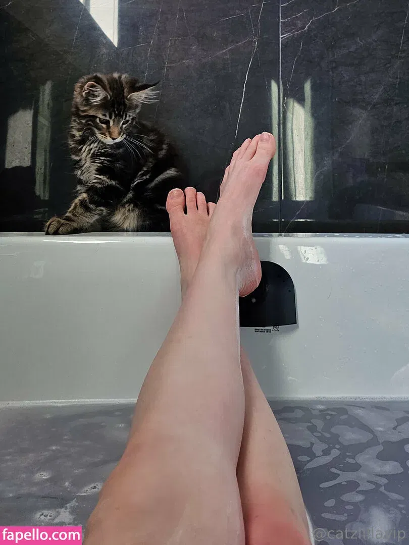 Catzilla / catziilla / cptamaziing Onlyfans Photo Gallery 