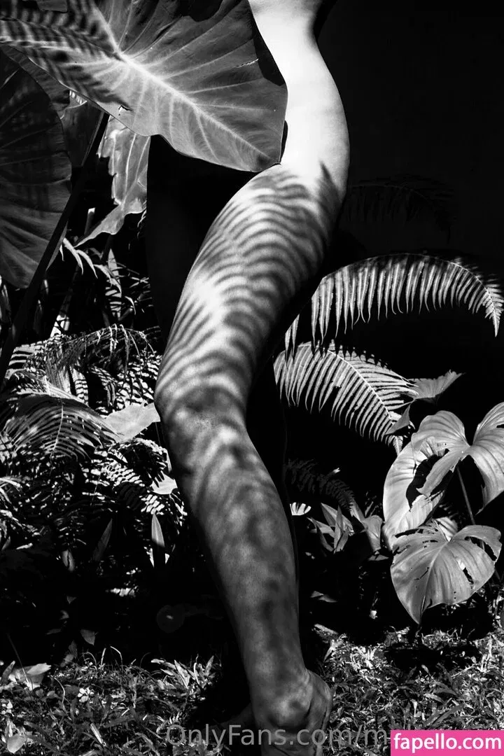 melmeyer / melmeyer_ Onlyfans Photo Gallery 