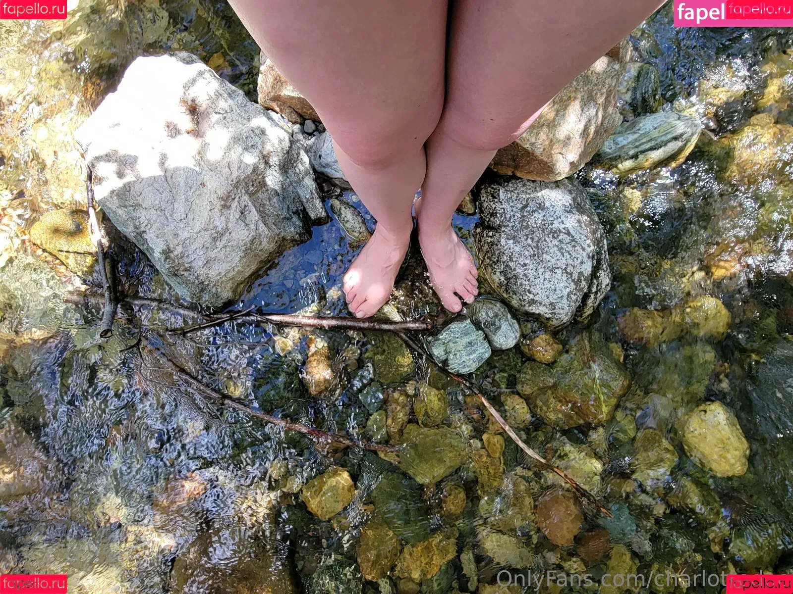 charlottedoe / thatcharlottedoe Onlyfans Photo Gallery 