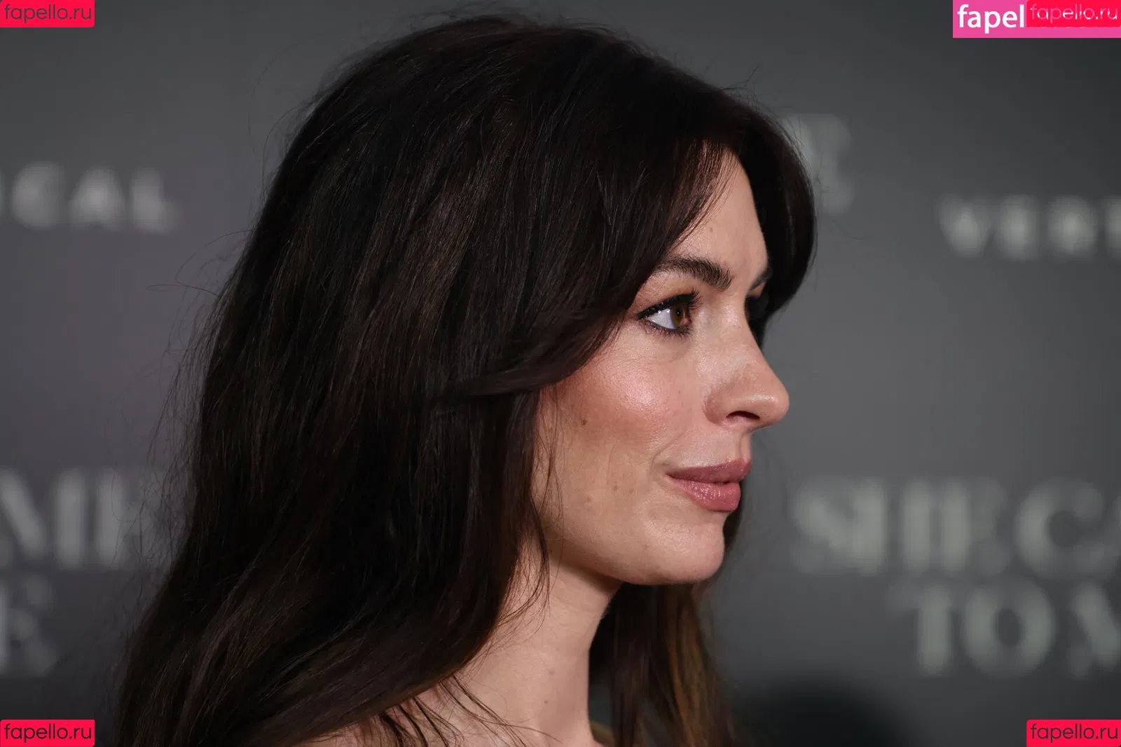 Anne Hathaway / ahathawaynews / annehathaway / heatherannie Onlyfans Photo Gallery 