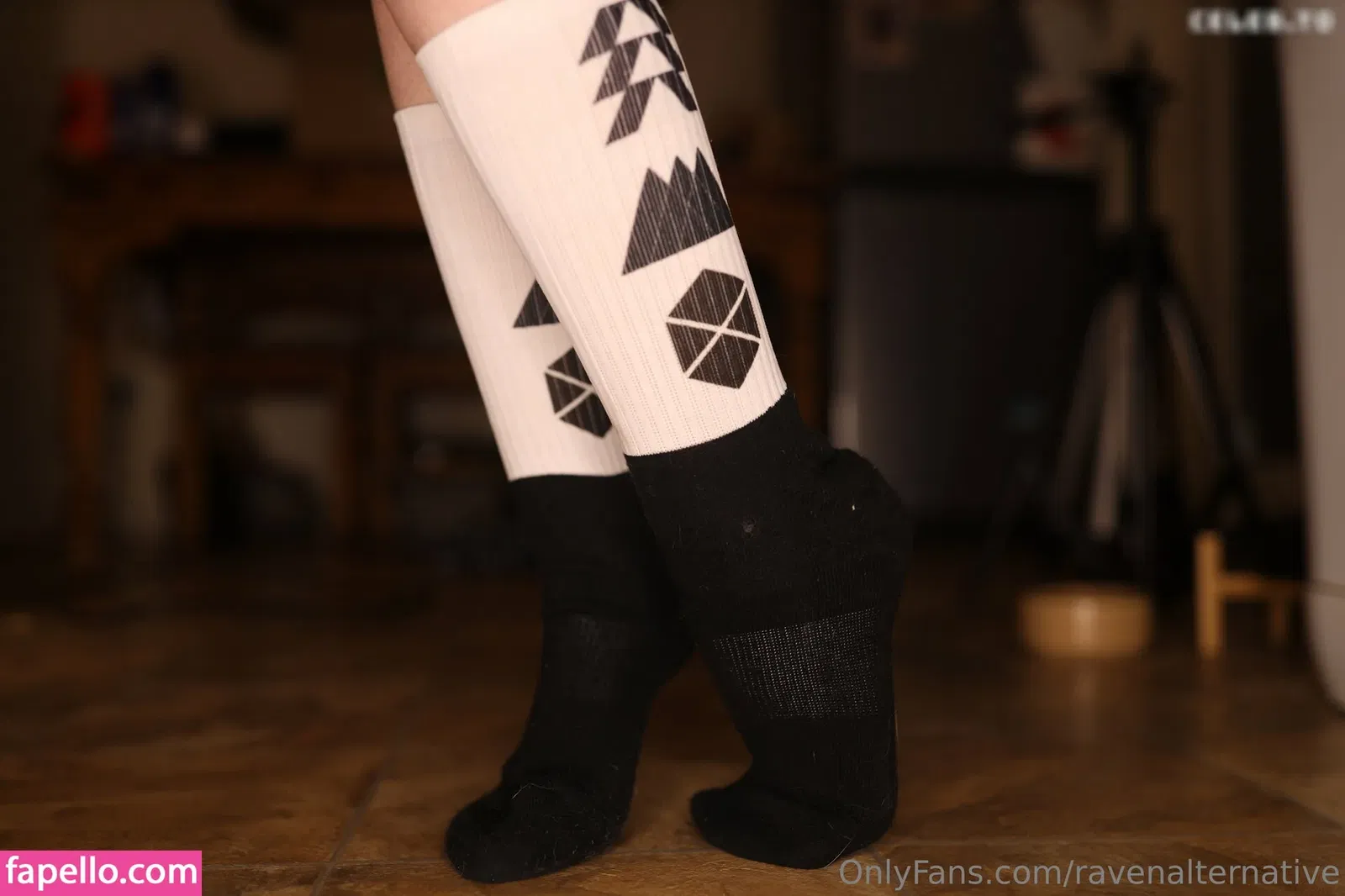 raven_alternative / ravenalternative Onlyfans Photo Gallery 