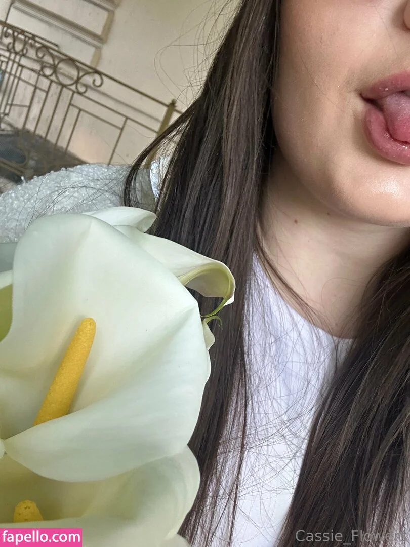 _cassie_flowers Nude Onlyfans Photo 38