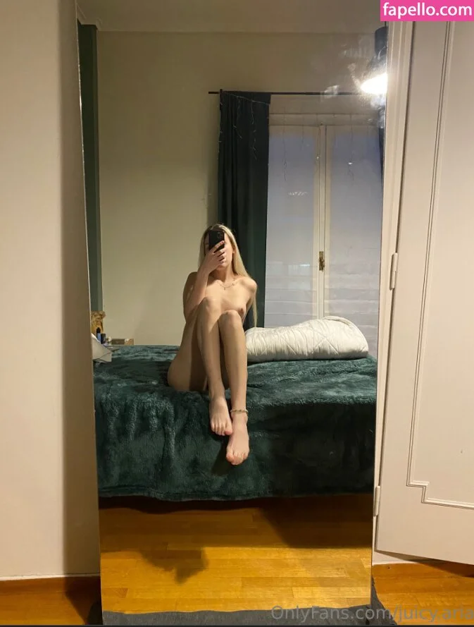 Juicy.Aria / aria_wiiinter Onlyfans Photo Gallery 