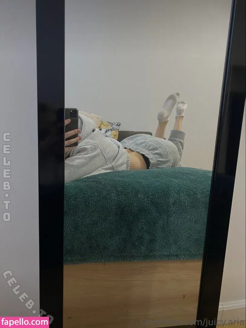 Juicy.Aria / aria_wiiinter Onlyfans Photo Gallery 