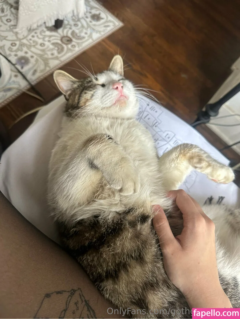 gothgamergirly / thegothmuse Onlyfans Photo Gallery 