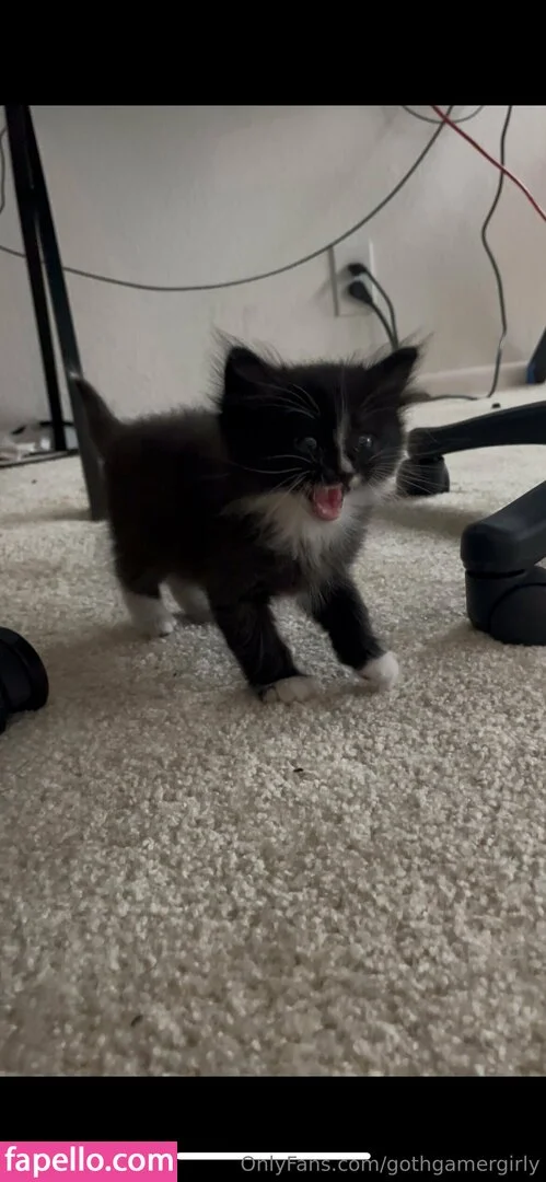 gothgamergirly / thegothmuse Onlyfans Photo Gallery 