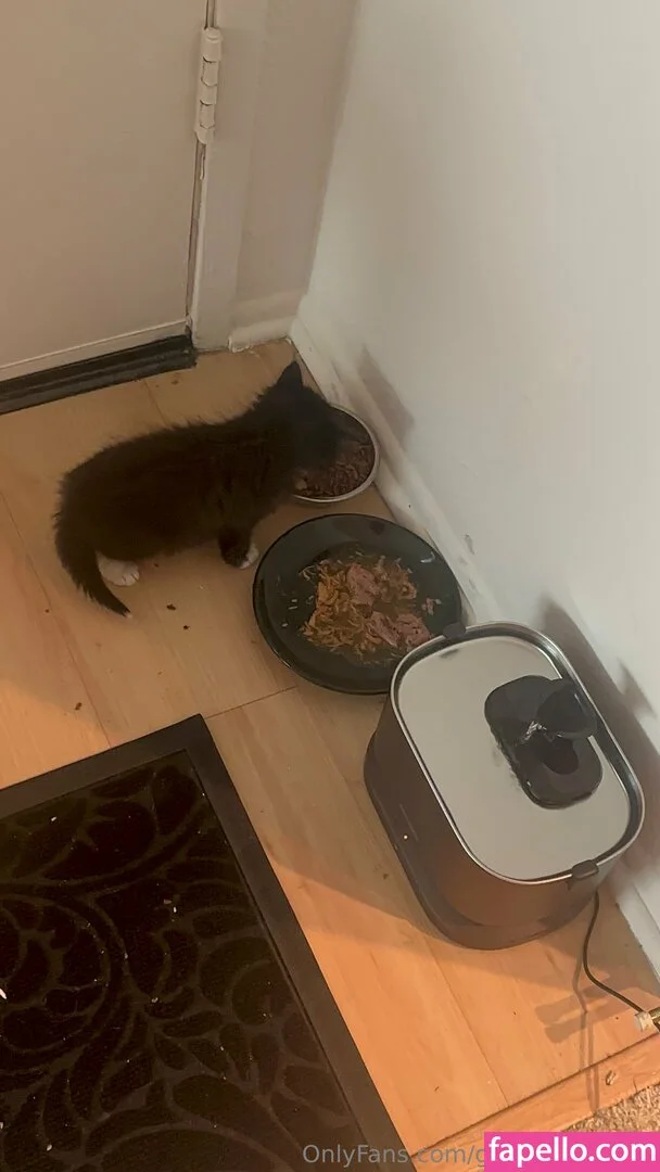 gothgamergirly / thegothmuse Onlyfans Photo Gallery 