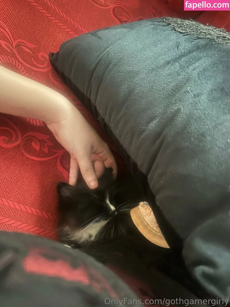 gothgamergirly / thegothmuse Onlyfans Photo Gallery 