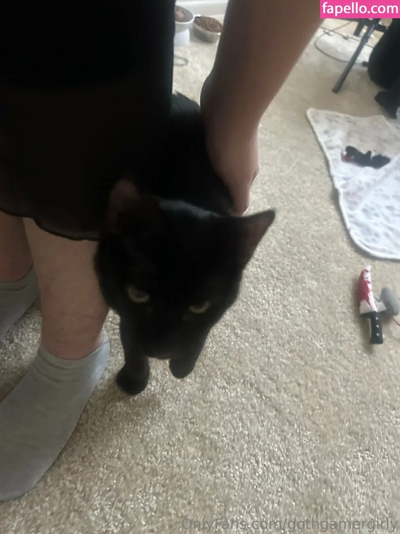 gothgamergirly / thegothmuse Onlyfans Photo Gallery 