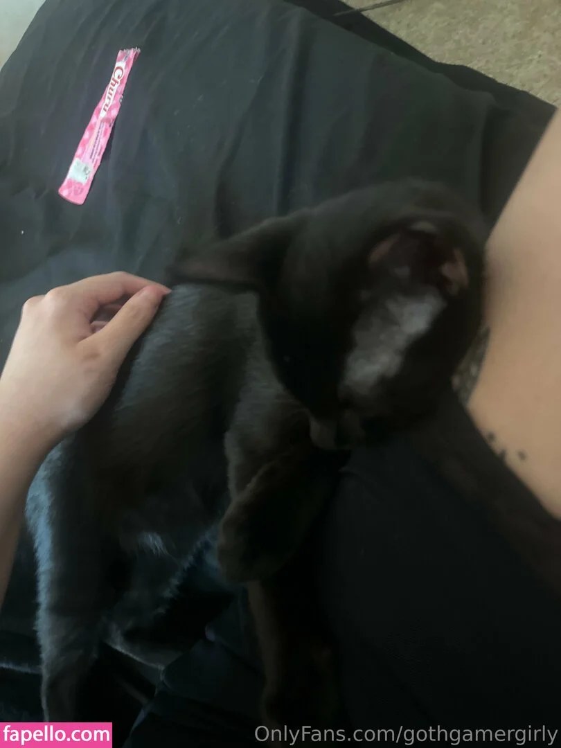 gothgamergirly / thegothmuse Onlyfans Photo Gallery 