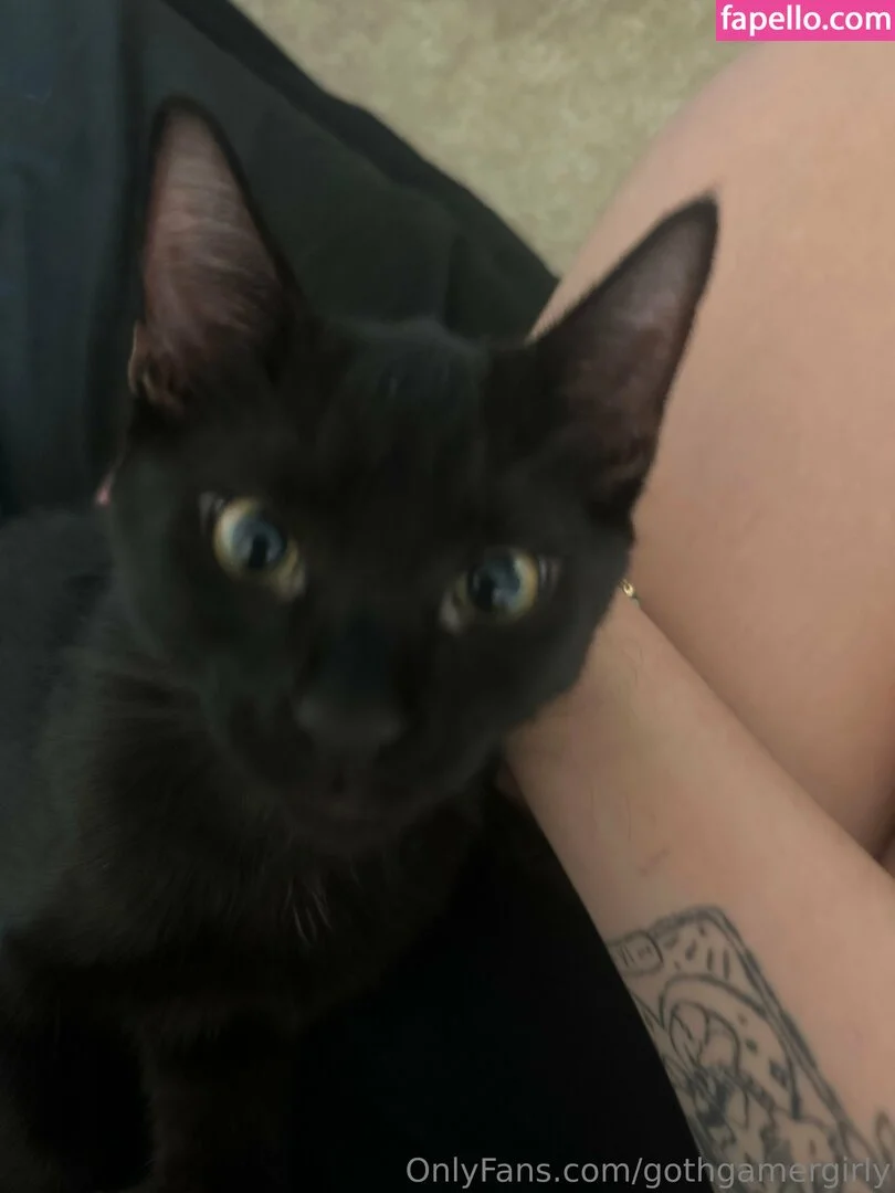 gothgamergirly / thegothmuse Onlyfans Photo Gallery 