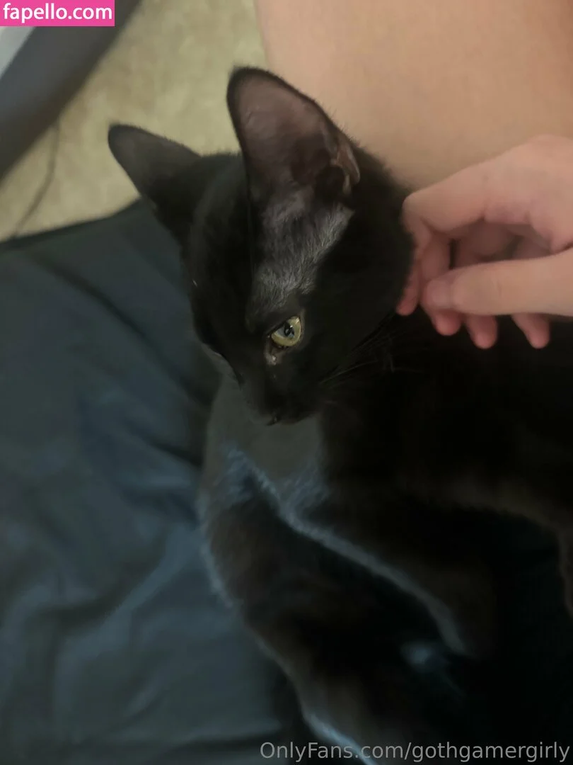 gothgamergirly / thegothmuse Onlyfans Photo Gallery 