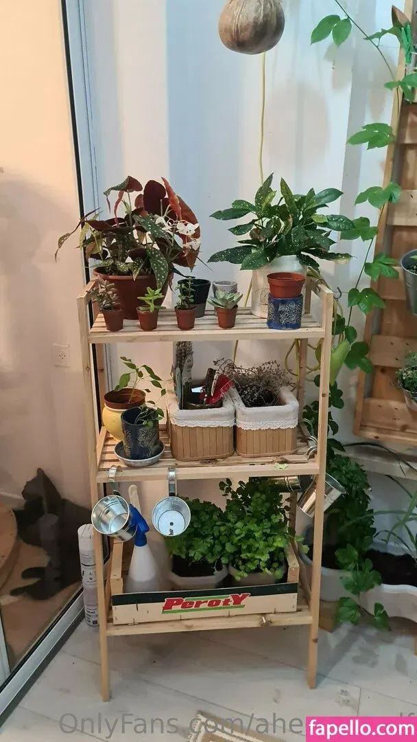 Ahegaoself / ahegao.self / ahegao_self Onlyfans Photo Gallery 