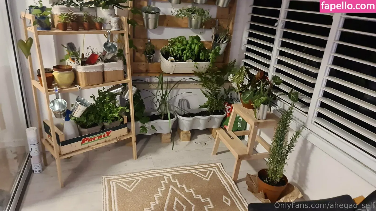 Ahegaoself / ahegao.self / ahegao_self Onlyfans Photo Gallery 