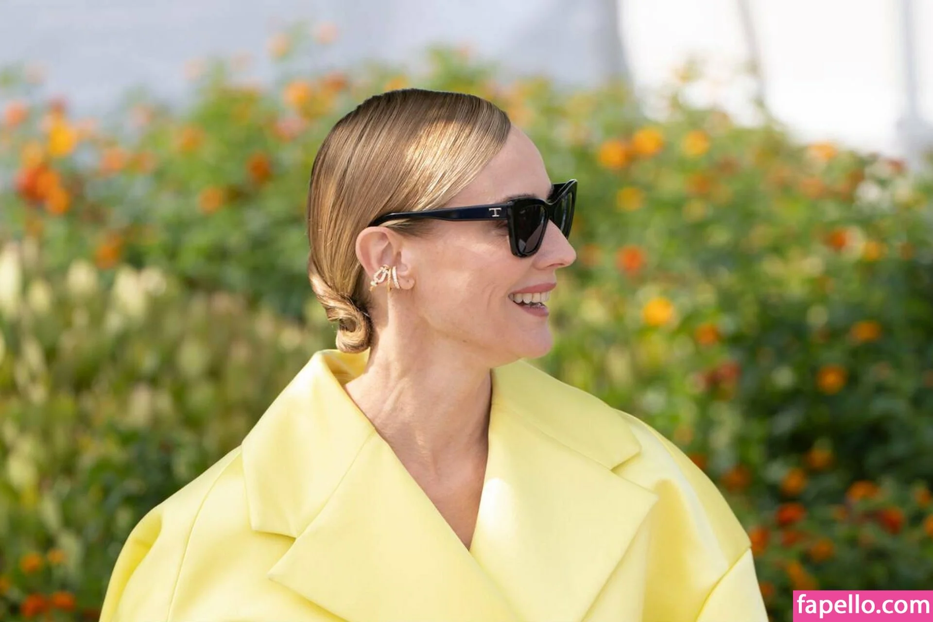 Diane Kruger / dianekruger Onlyfans Photo Gallery 