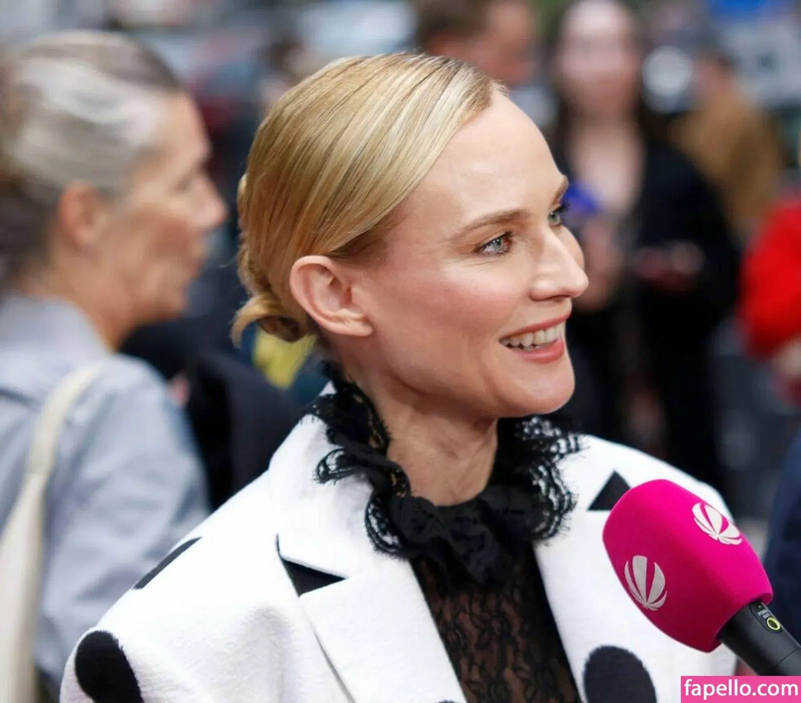 Diane Kruger / dianekruger Onlyfans Photo Gallery 