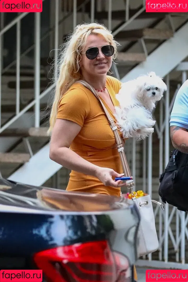 Britney Spears / britneyspears / xoxobritneyj Onlyfans Photo Gallery 