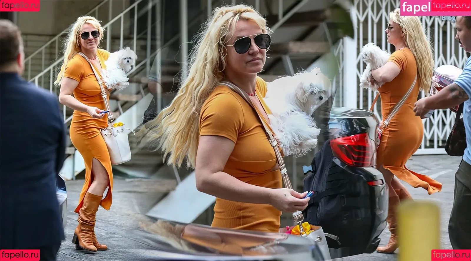 Britney Spears / britneyspears / xoxobritneyj Onlyfans Photo Gallery 